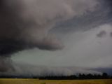 shelf_cloud