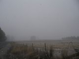 precipitation_rain