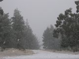 snow_pictures