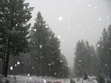 snow_pictures