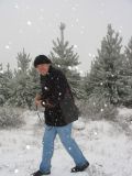 snow_pictures