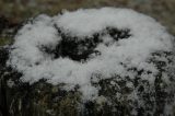 snow_pictures