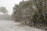 Purchase a poster or print of this weather photo