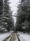 snow_pictures