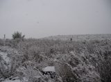 snow_pictures