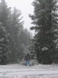 snow_pictures