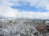 Purchase a poster or print of this weather photo