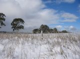 Australian Severe Weather Picture