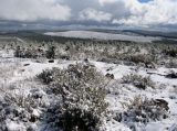 Purchase a poster or print of this weather photo