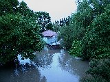 flood_pictures