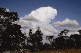 cumulonimbus_calvus