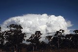 cumulonimbus_calvus