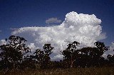 Purchase a poster or print of this weather photo