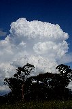 cumulonimbus_incus