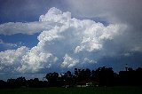 cumulonimbus_calvus