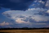 cumulonimbus_incus