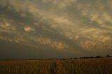mammatus_cloud