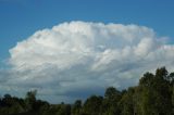 cumulonimbus_calvus