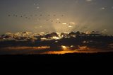 halo_sundog_crepuscular_rays