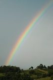 rainbow_pictures