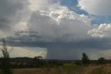 cumulonimbus_calvus