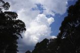 cumulonimbus_calvus