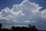 cumulonimbus_calvus