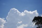 pileus_cap_cloud