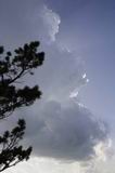 cumulonimbus_calvus