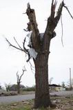 storm_damage