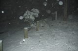 snow_pictures