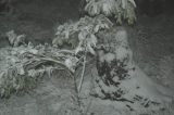 snow_pictures