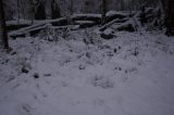 snow_pictures