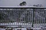 snow_pictures