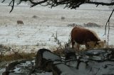 Purchase a poster or print of this weather photo