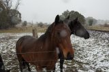 Purchase a poster or print of this weather photo