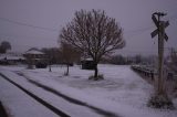 snow_pictures