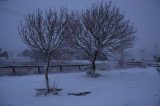 snow_pictures