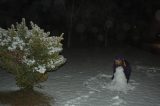 snow_pictures