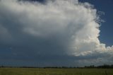 cumulonimbus_incus