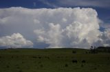 cumulonimbus_incus