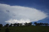 cumulonimbus_incus