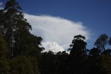 cumulonimbus_incus