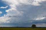 cumulonimbus_incus