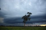 shelf_cloud