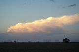 cumulonimbus_incus