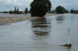 flood_pictures