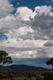 pileus_cap_cloud