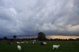 Australian Severe Weather Picture