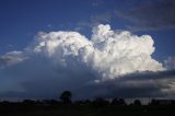 cumulonimbus_calvus